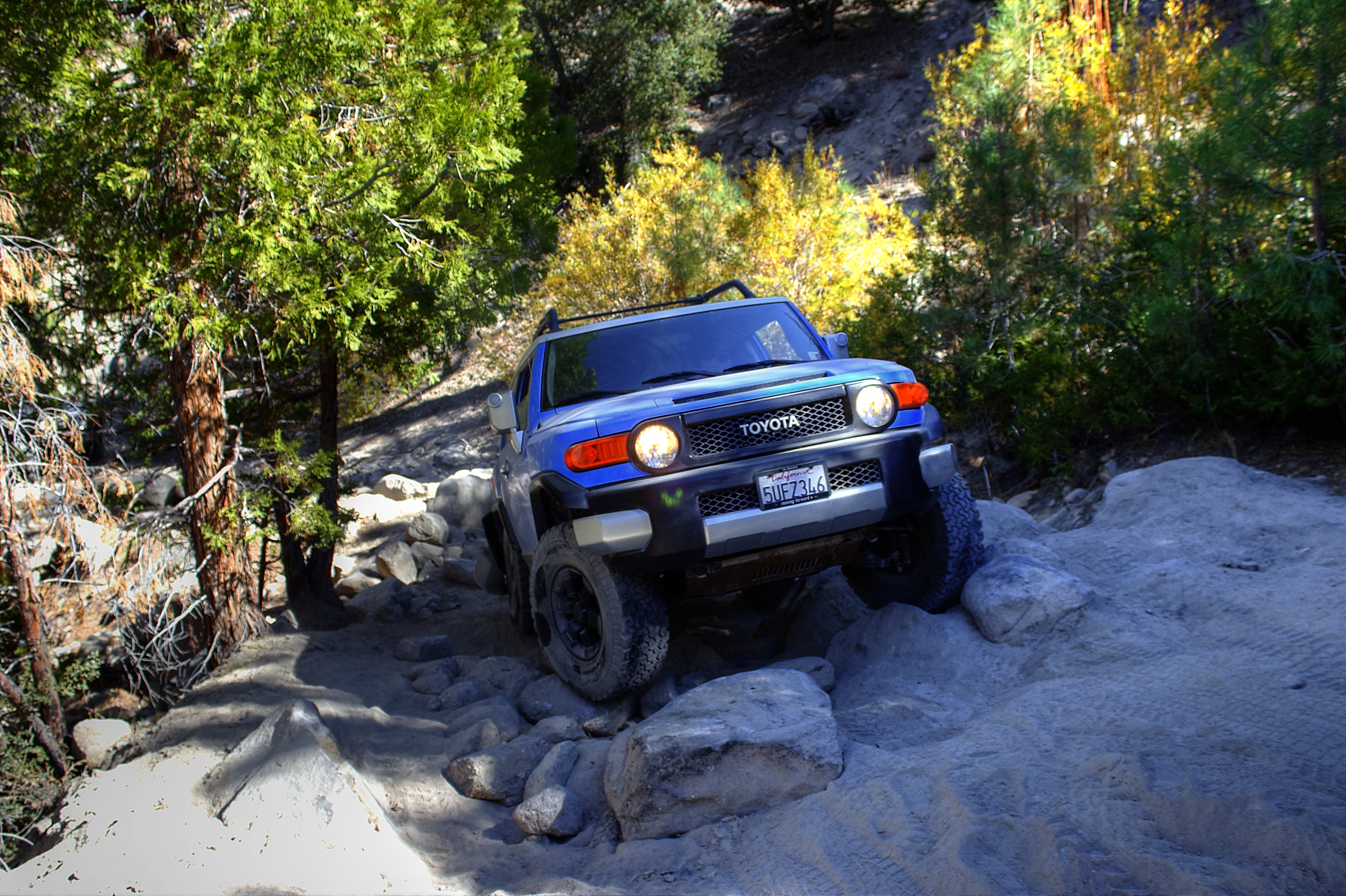 Big Bear Adopt A Trail Maintenance Day